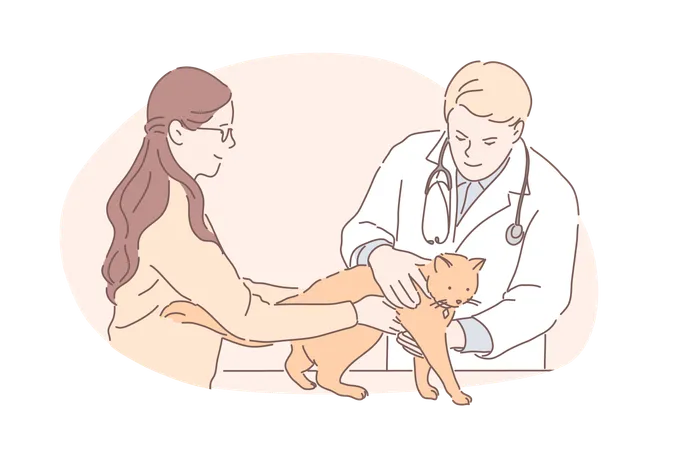 Pet Hospital Vet Clinic Animal Treatment Concept Male Veterinarian With Stethoscope Checking Cat Health Woman Bring Kitten To Feline Doctor Professional Medical Service Simple Flat Vector Illustration