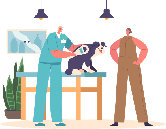 Veterinary doctor providing chipping to dog  Illustration
