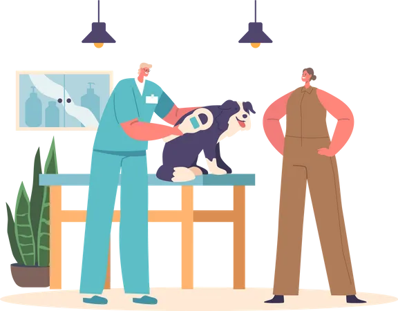Veterinary doctor providing chipping to dog  Illustration