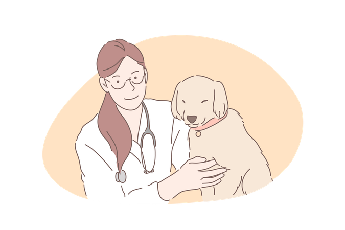 Veterinary doctor takes care of pet animal  일러스트레이션