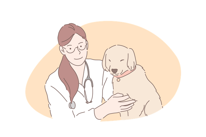 Veterinary doctor takes care of pet animal  Illustration