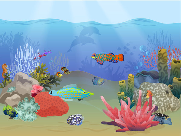 La vie aquatique sous l'eau  Illustration