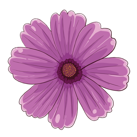 Violet flower  Illustration