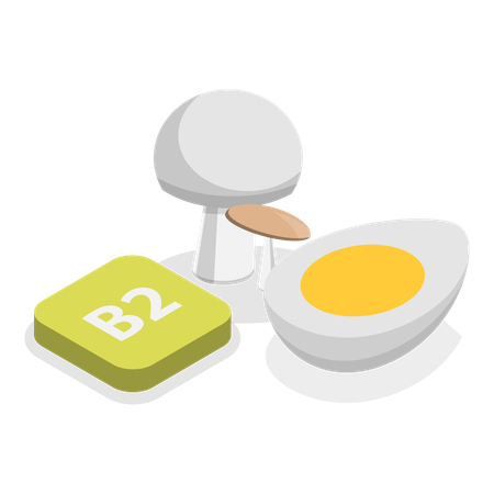 Vitamins And Minerals gain from egg and mushroom  Illustration