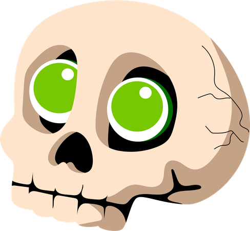 Vivid Skull  Illustration