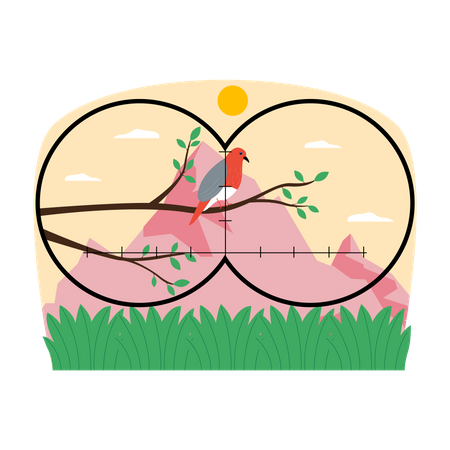 Vögel beobachten  Illustration