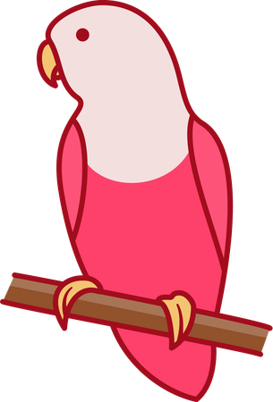 Vogel  Illustration