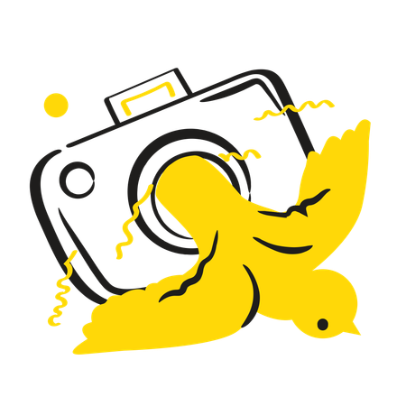 Vogel kommt aus der Kamera  Illustration