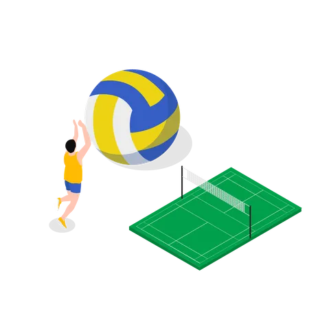 Volleyball  Illustration