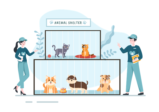 Voluntarios dando comida a mascotas  Ilustración