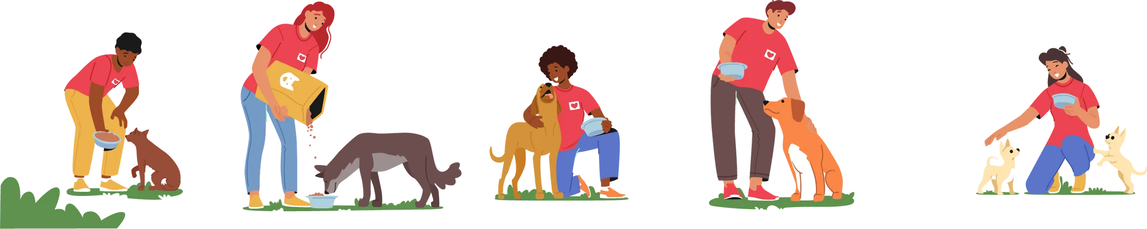 Volunteers feeding dogs Illustration