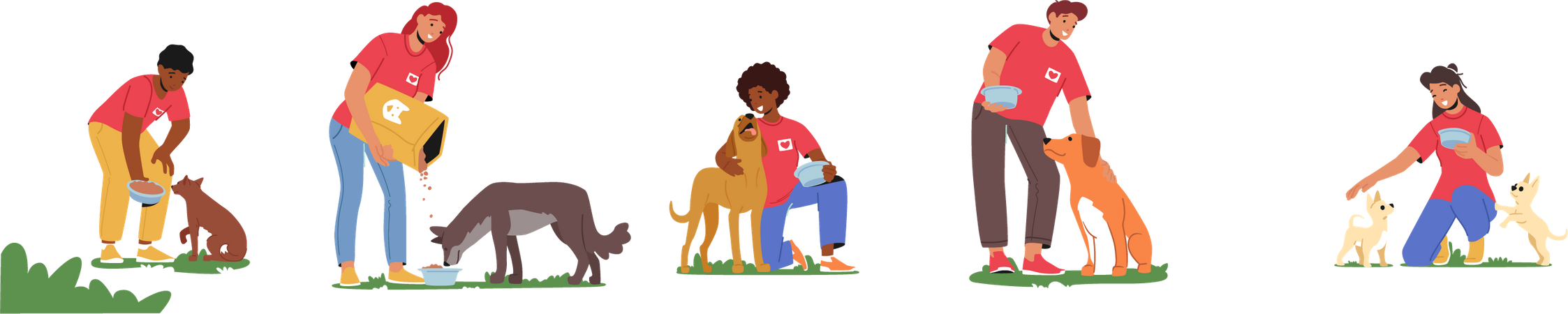 Volunteers feeding dogs  イラスト