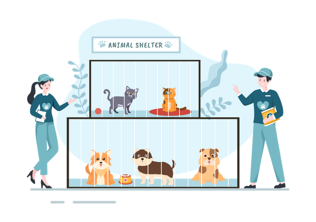 Volunteers giving food to pets  Illustration