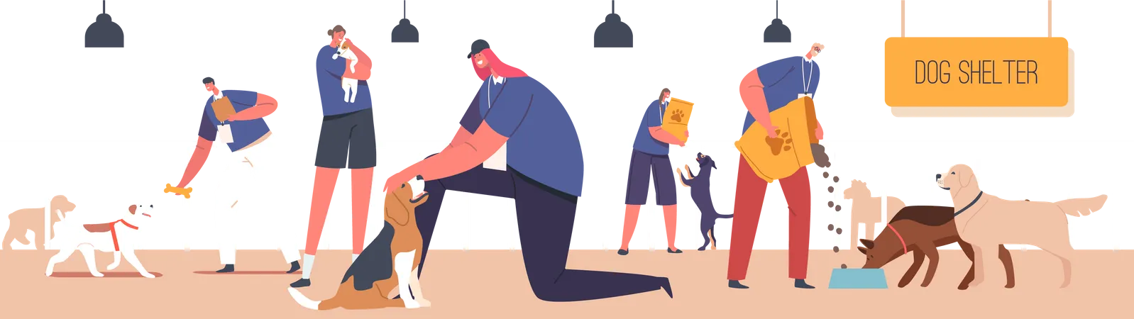 Volunteers Work in Animals Shelter  Illustration