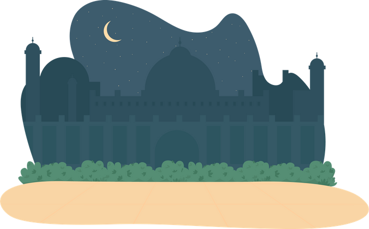 Vue nocturne depuis la mosquée  Illustration