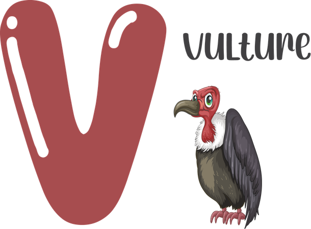 Vulture  Illustration