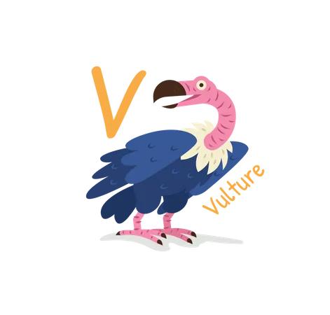 Vulture  Illustration