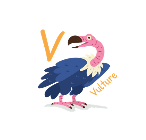 Vulture  Illustration