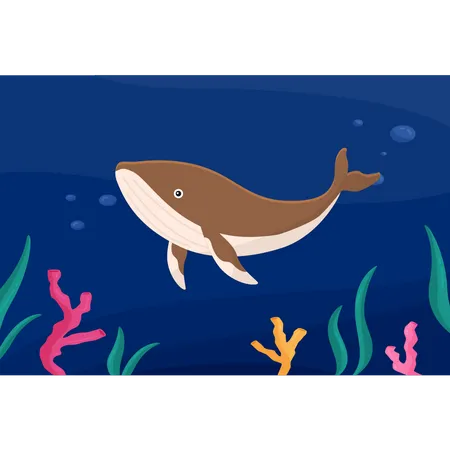 Wal im Meer  Illustration