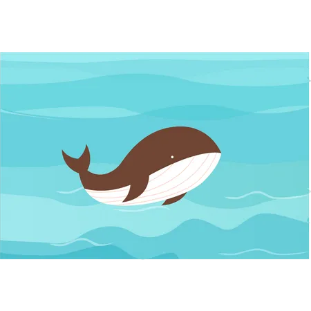 Wal im Meer  Illustration