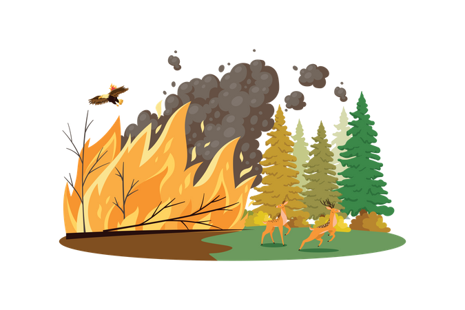 Waldbrände  Illustration