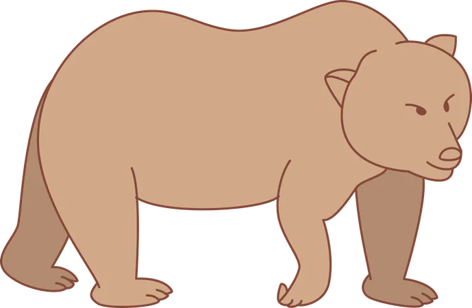 Walking Bear  Illustration