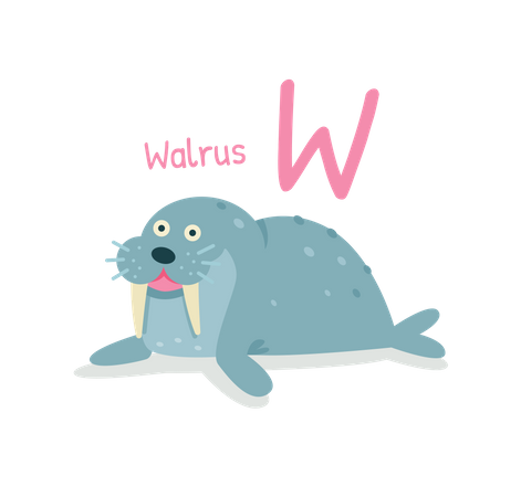 Walross  Illustration