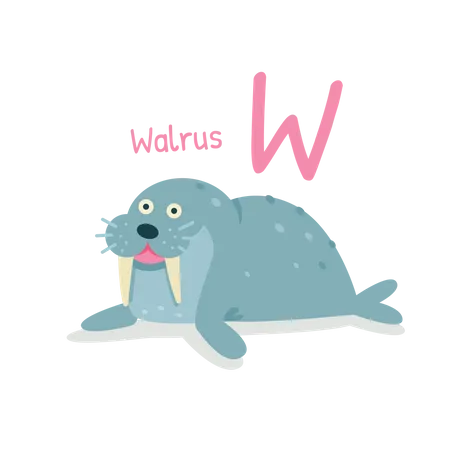 Walross  Illustration