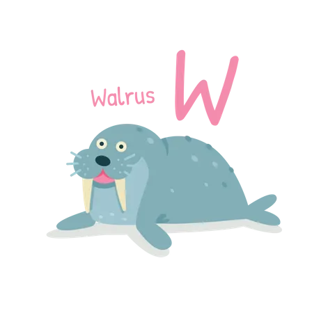 Walrus  Illustration