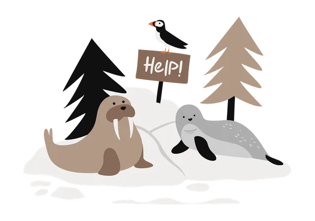 Walrus, Seal and Puffin with Sign On Iceberg  Illustration