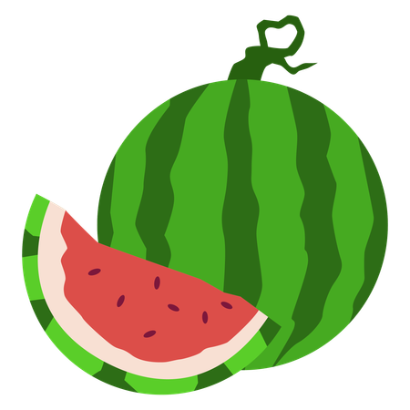 Wassermelone  Illustration