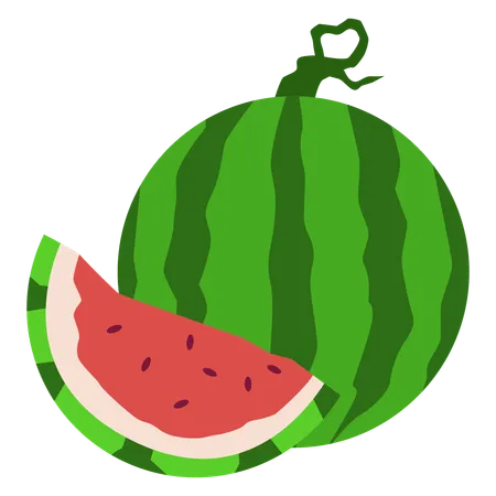 Wassermelone  Illustration