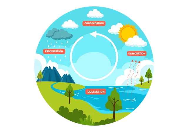 Water Cycle Vector Illustration With Evaporation Condensation Precipitation To Collection In Earth Natural Environment In Flat Cartoon Background イラスト