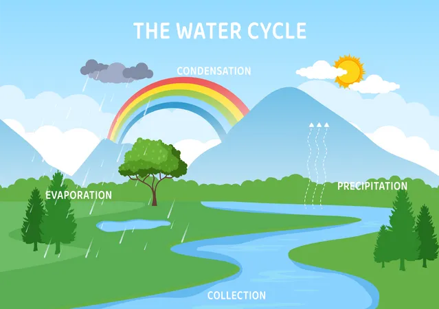 Water cycle at mountain region Illustration