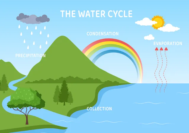 Water cycle diagram Illustration