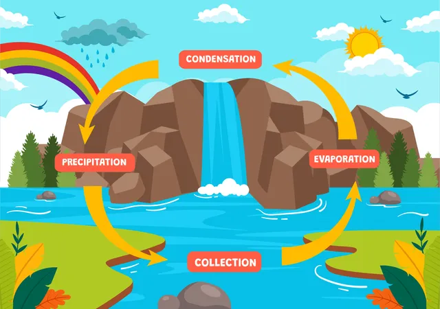 Water Cycle  Illustration