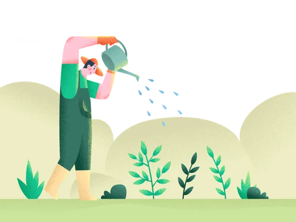 Watering the plants  Illustration