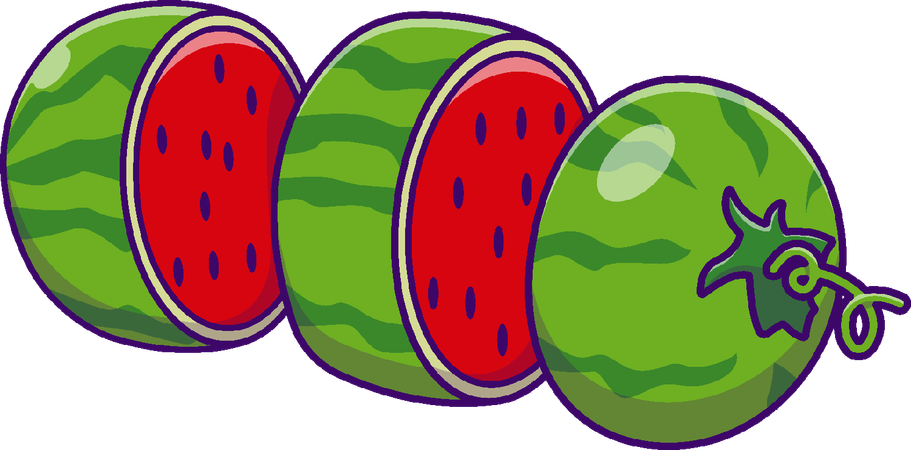 Watermelon Slices  Illustration