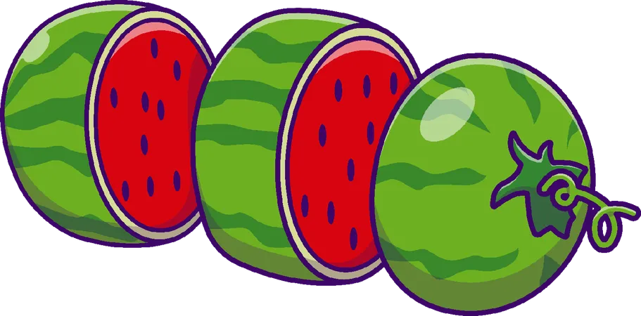 Watermelon Slices  Illustration