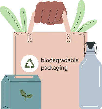 We should use biodegradable bags for packaging  Illustration