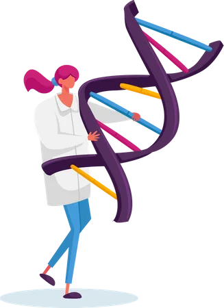 Weibliches Tragen eines menschlichen DNA-Spiralmodells  Illustration
