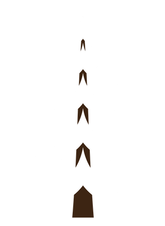 Weihnachtsbaum  Illustration