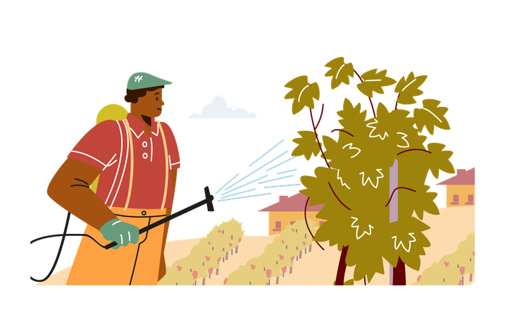 Bewässerungsprozess im Weinberg  Illustration