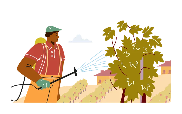 Bewässerungsprozess im Weinberg  Illustration