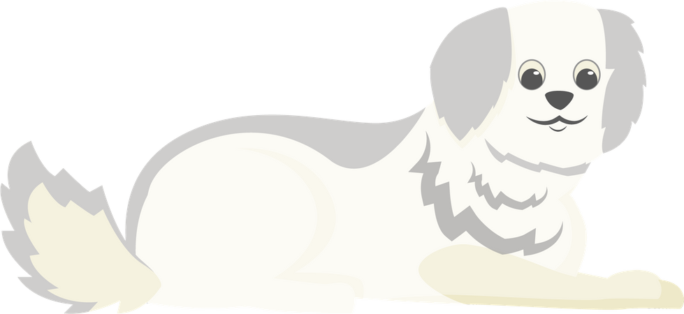 Weißer Terrier  Illustration