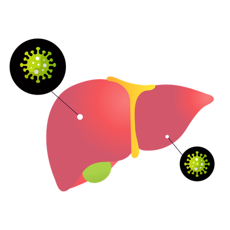 Welt-Hepatitis-Tag  Illustration