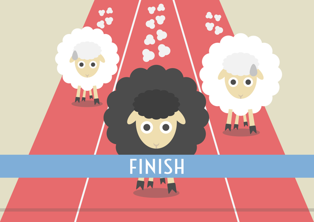 Wettbewerb der Schafe  Illustration