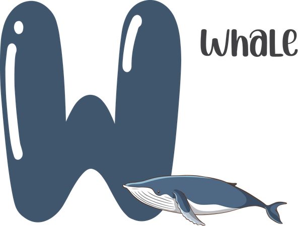 Whale  Illustration