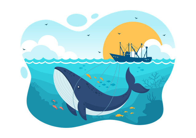Whale Hunting  イラスト