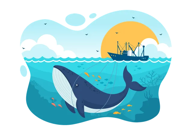 Whale Hunting  イラスト